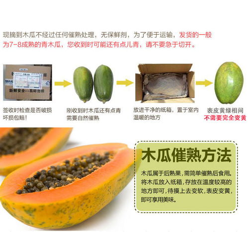 树上熟雷州冰糖木瓜自家果园新鲜水果红心木瓜批发包邮